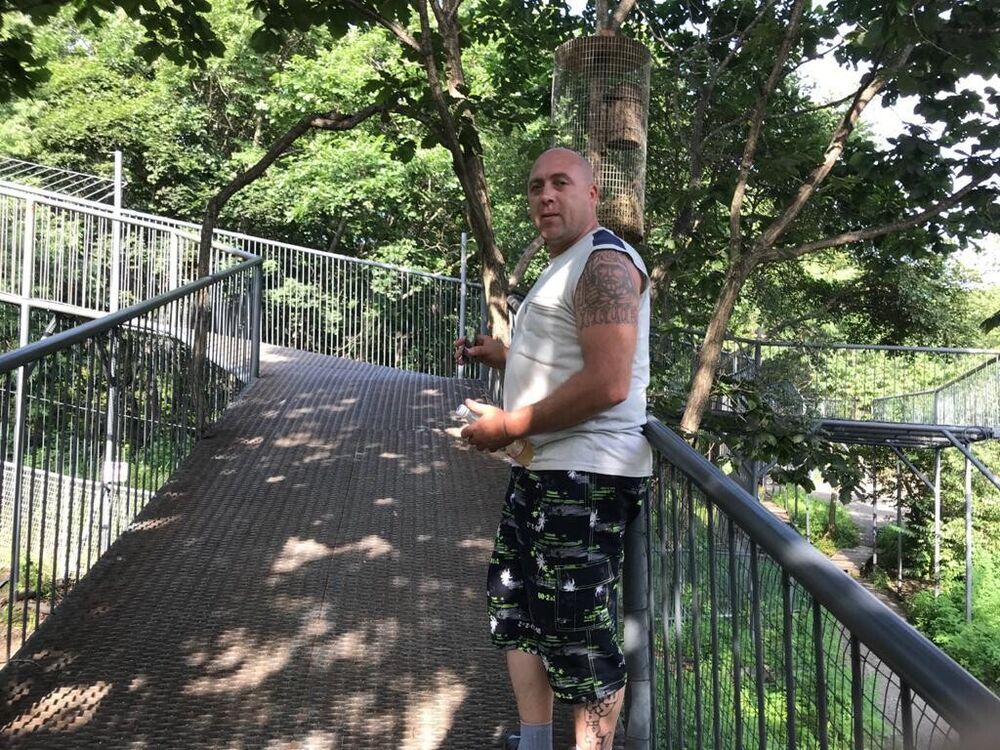 ���������� ������, ���� ������� ������, 45 ���, ������������ ��� ������, ����� � ���������, c�������� ���������