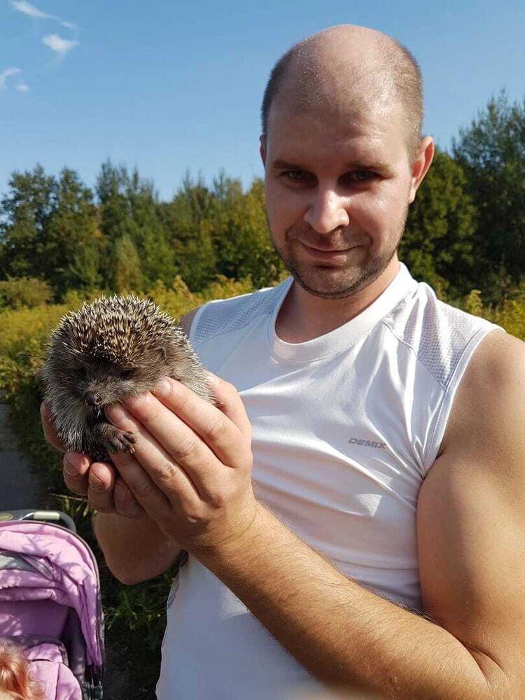 ���� 37243602 ������� ������, 37 ���, ���� ���������� � ������������