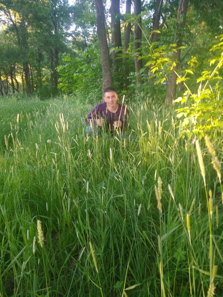  12491502  Aleksey, 43 ,    