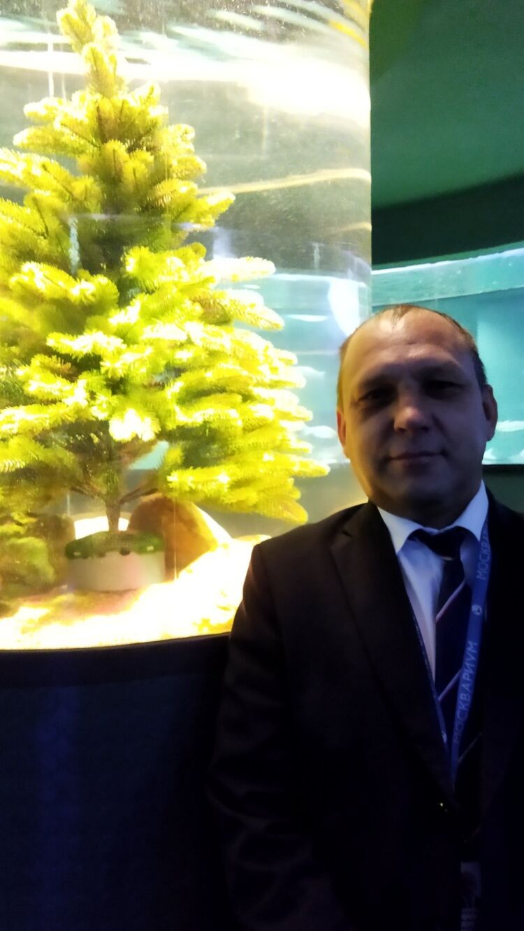 ���������� ������, ���� ������� �������, 48 ���, ������������ ��� ������, ����� � ���������