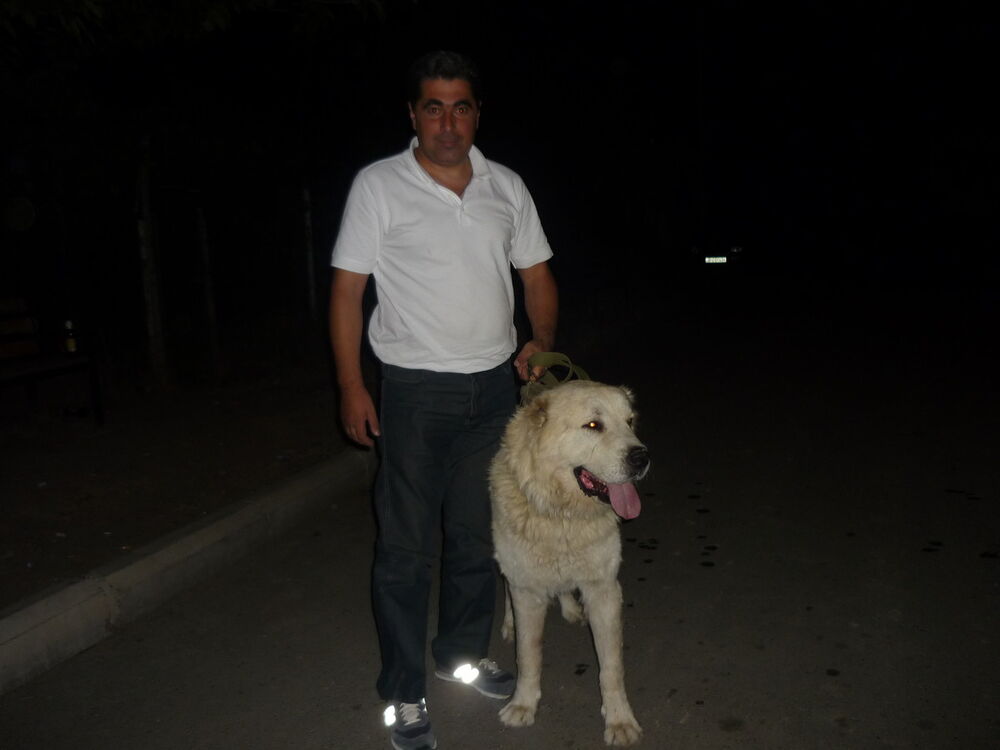  ,   Gdg, 50 ,   