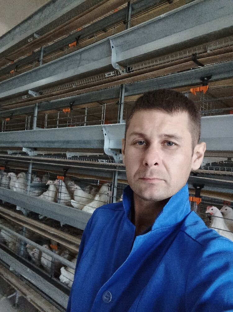  41731882   , 37 ,    