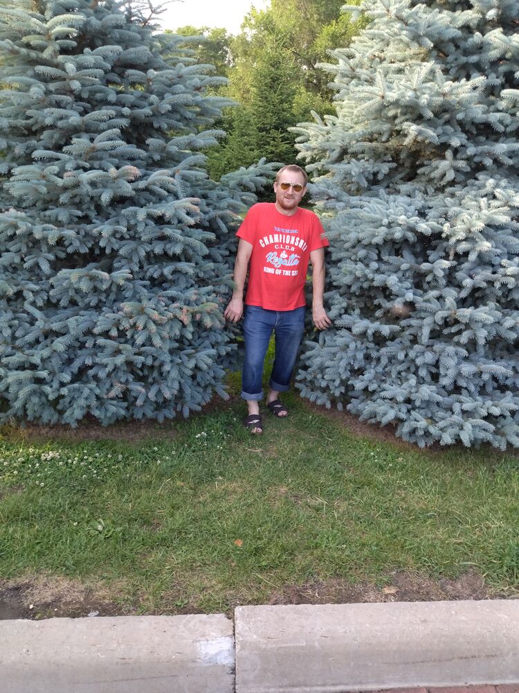  23379192  , 44 ,    