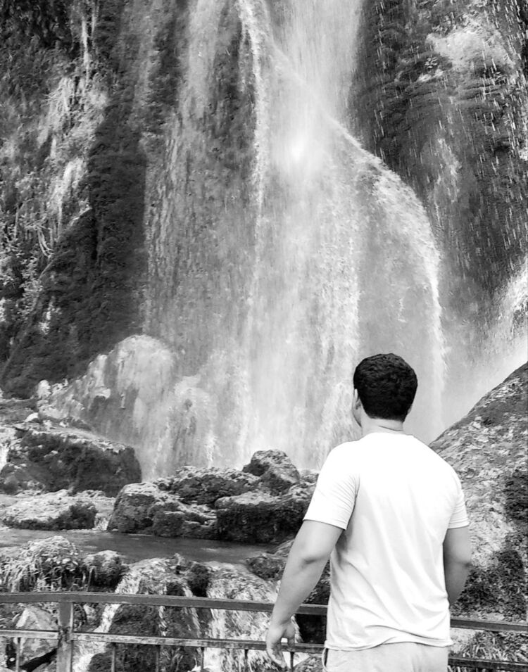 ���� 17707472 ������� PANDA, 29 ���, ���� ���������� � ��������