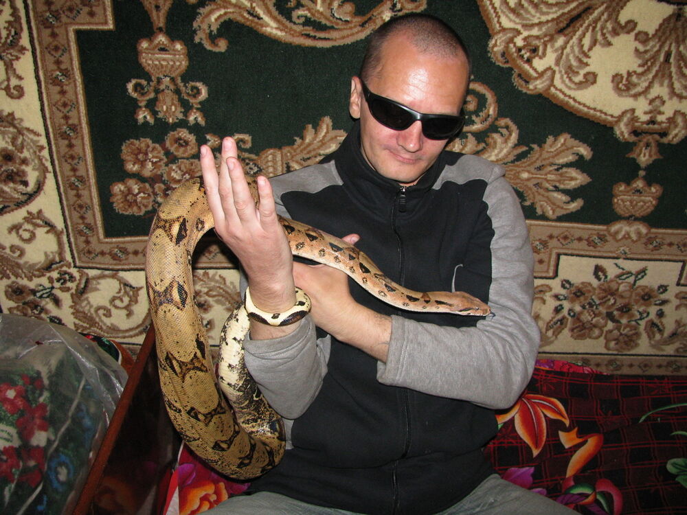  14827492  Andrey, 49 ,    Al Ghardaqah