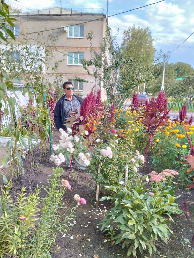 ���������� ������, ���� ������� ��������, 57 ���, ������������ ��� ����� � ���������, c�������� ���������, ���������