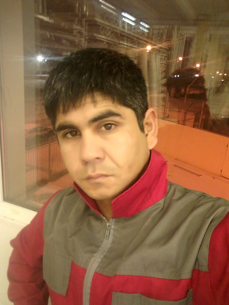  19008582  , 33 ,    -