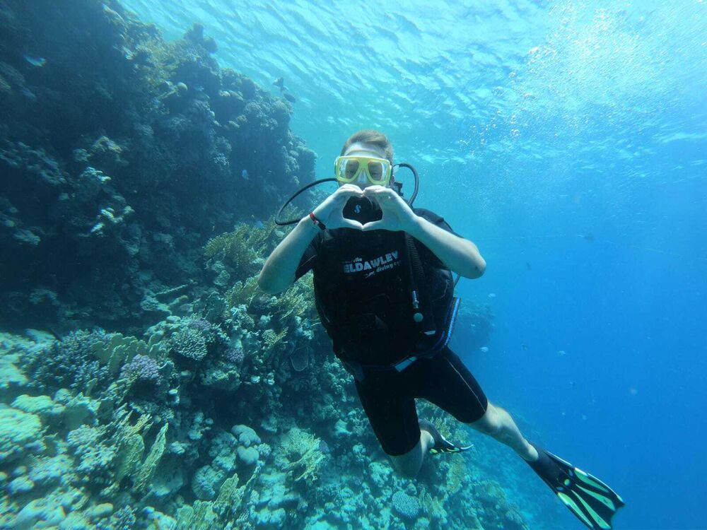 ���� 37862042 ����� ������, 23 ����, ���� ���������� � ������