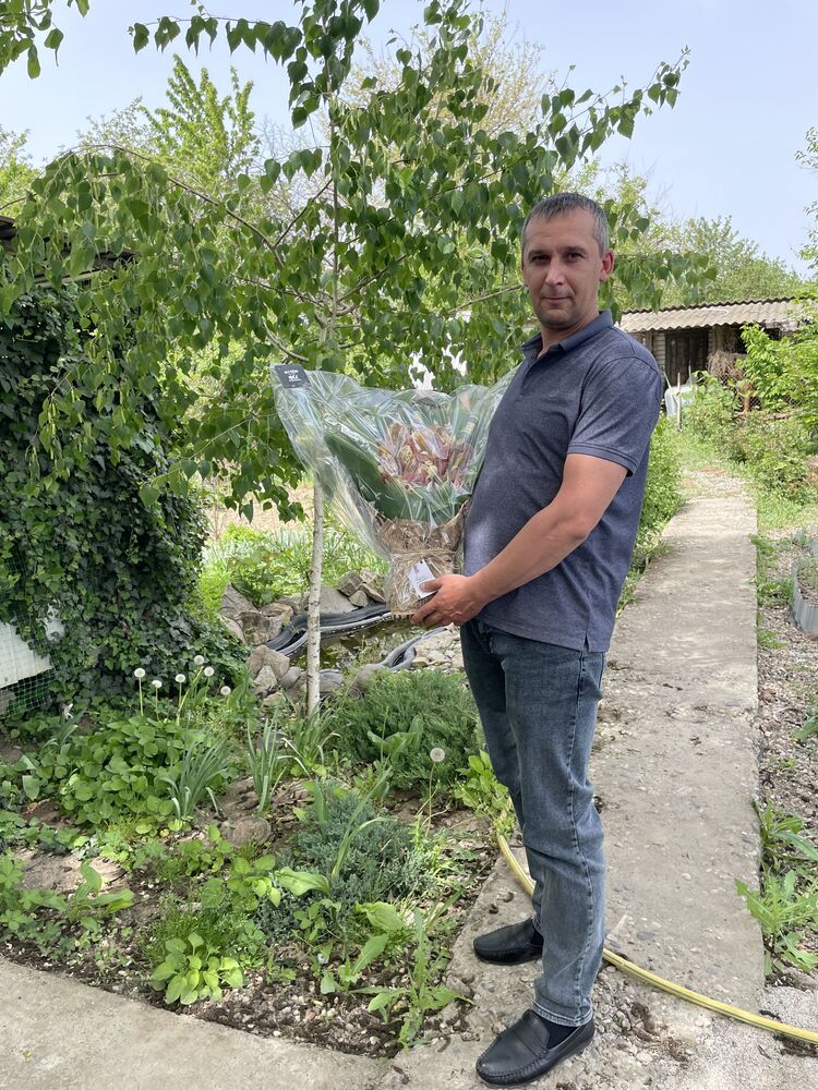 ���������� ����������, ���� ������� �����, 38 ���, ������������ ��� ������, ����� � ���������