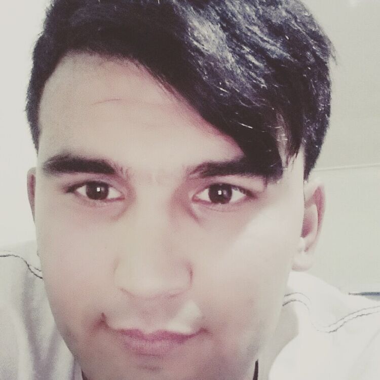 ���� 41649012 ������� ����, 29 ���, ���� ���������� � ����������