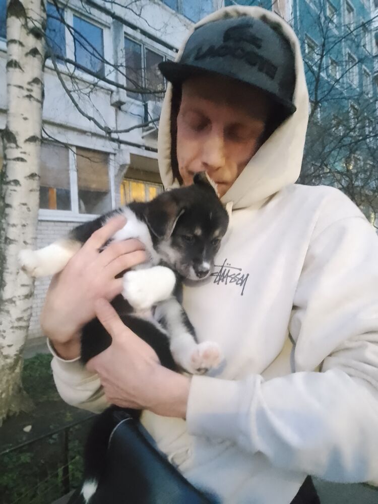 ���������� �����-���������, ���� ������� Alexander, 40 ���, ������������ ��� ������, ����� � ���������