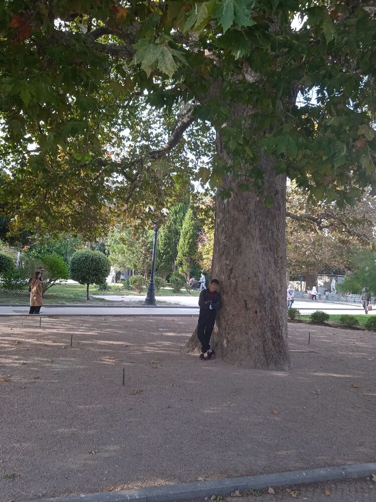 ���������� �����������, ���� ������� ����, 38 ���, ������������ ��� ������, ����� � ���������