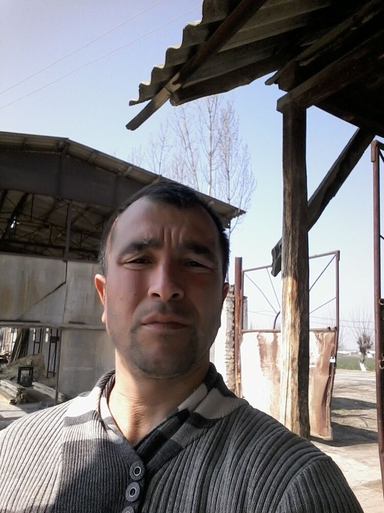  15407272  , 44 ,    