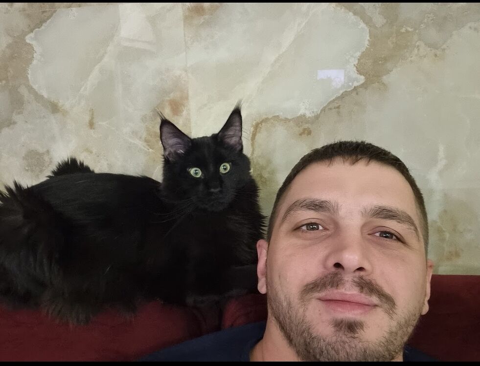 ���������� ����, ���� ������� ������, 37 ���, ������������ ��� ������, ����� � ���������