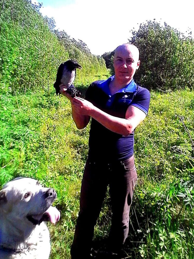 ���� 35053942 ������� ������, 38 ���, ���� ���������� � �����-����������