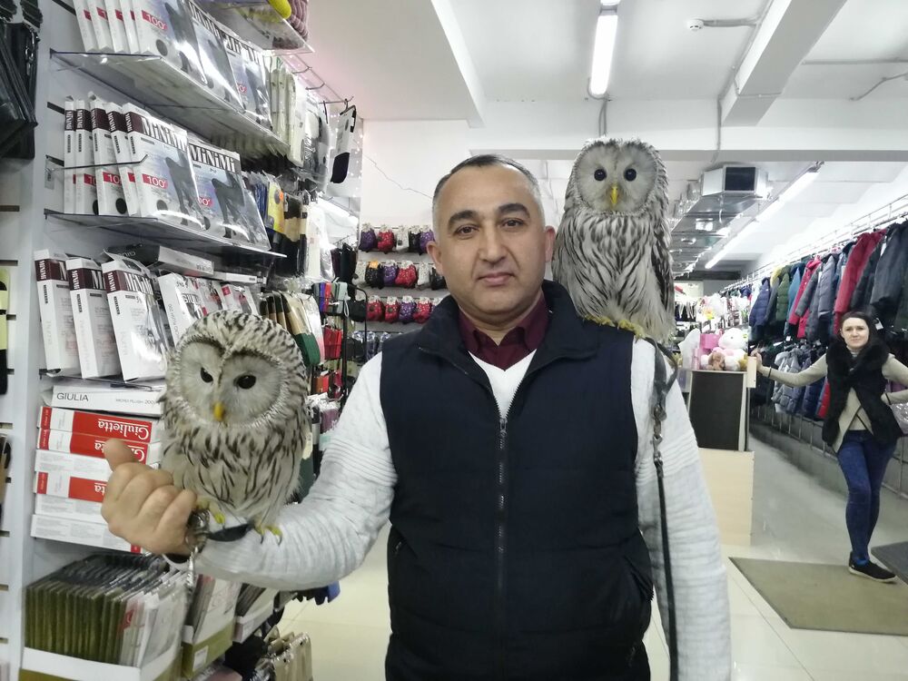  48694672  RASUL SAIDOV, 52 ,    
