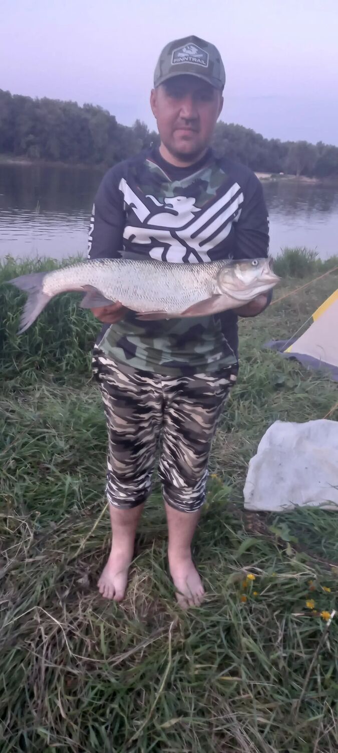 ���������� �������, ���� ������� �������, 35 ���, ������������ ��� ������, ����� � ���������, c�������� ���������, ���������