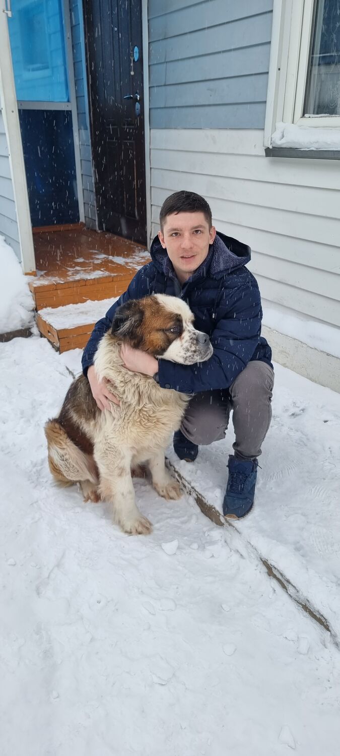 ���� 33522872 ������� �����, 29 ���, ���� ���������� � ���������