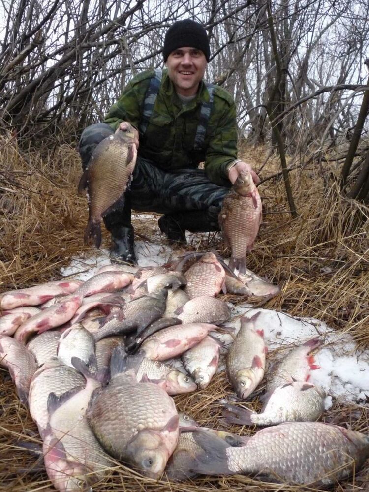 ���� 46776392 ������� ���������, 41 ���, ���� ���������� � ������