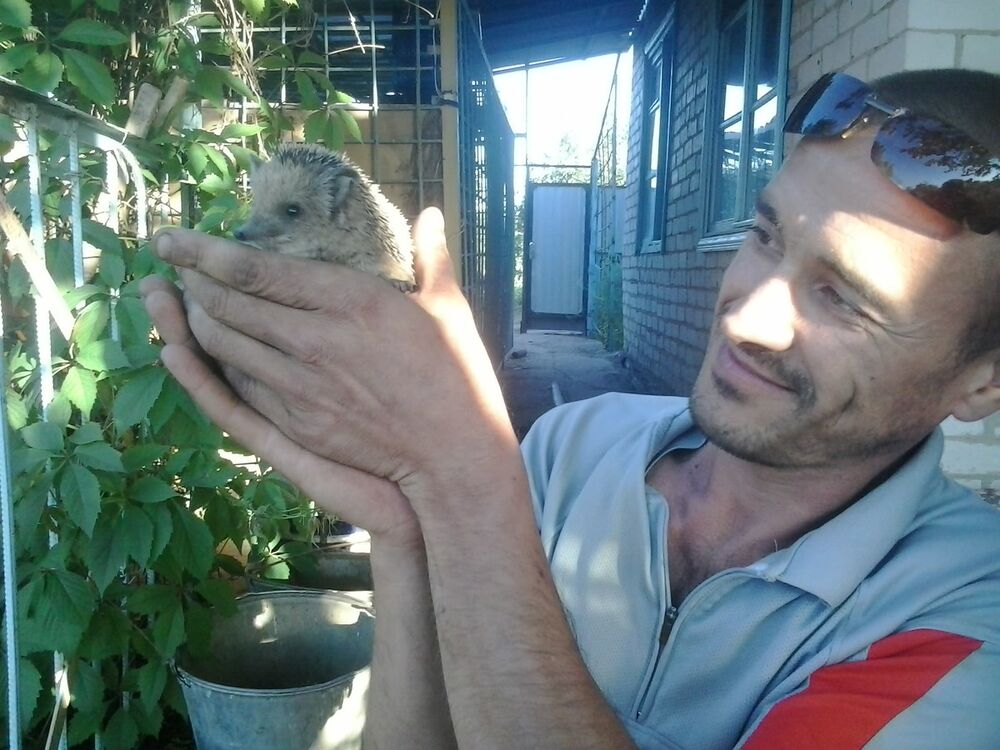 ���������� ������, ���� ������� �������, 44 ����, ������������ 