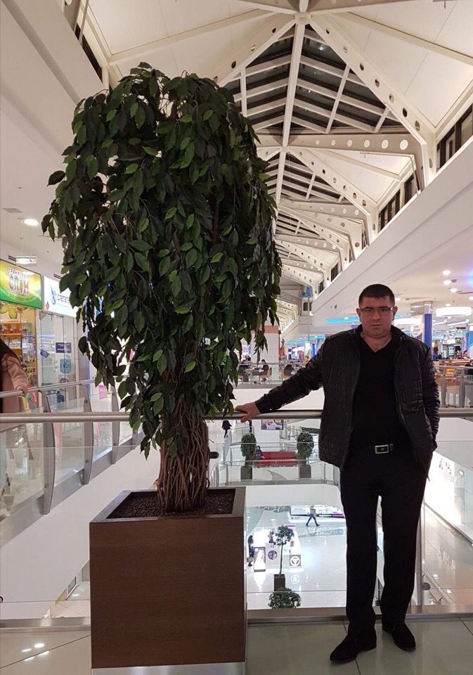 ���������� ������, ���� ������� �����, 47 ���, ������������ ��� ������, ����� � ���������