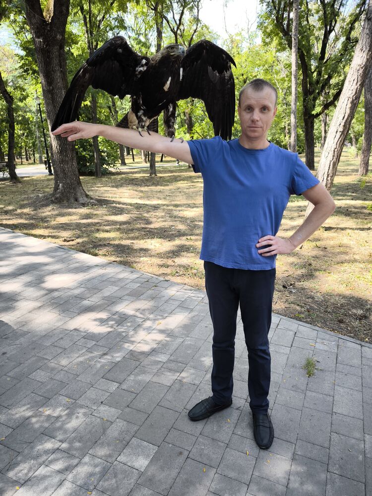 ���������� ���������, ���� ������� �������, 39 ���, ������������ ��� ������, ����� � ���������