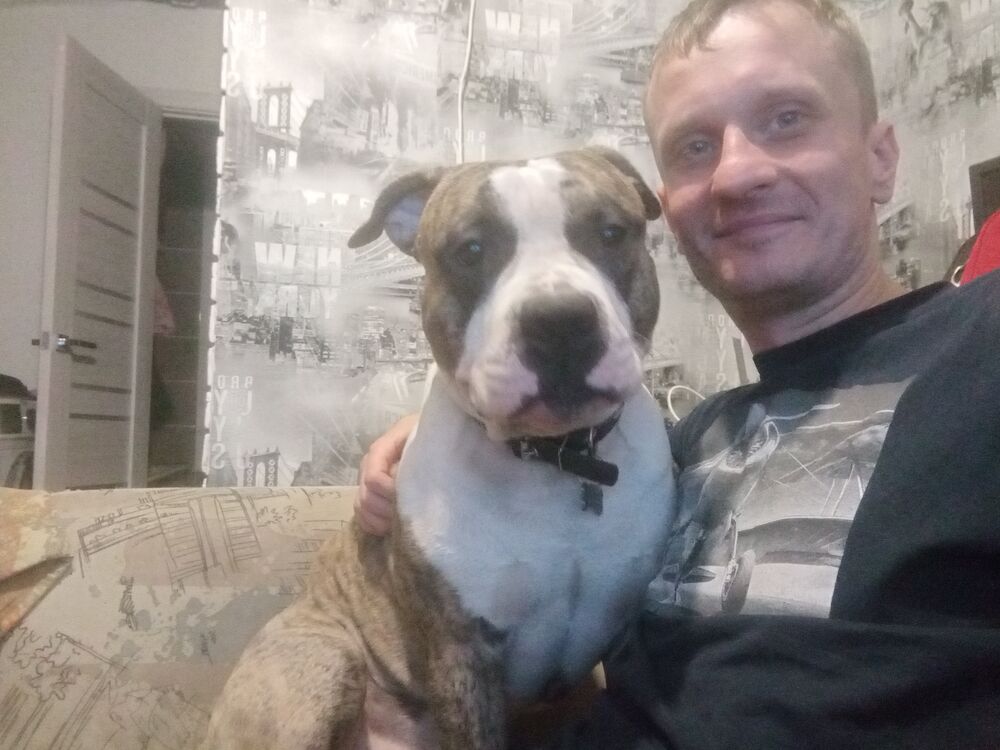 ���� 39414382 ������� ����, 34 ����, ���� ���������� � �������������