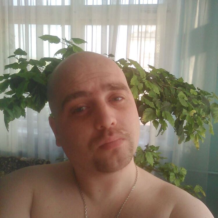 ���� 20162072 ������� �����, 35 ���, ���� ���������� � �������