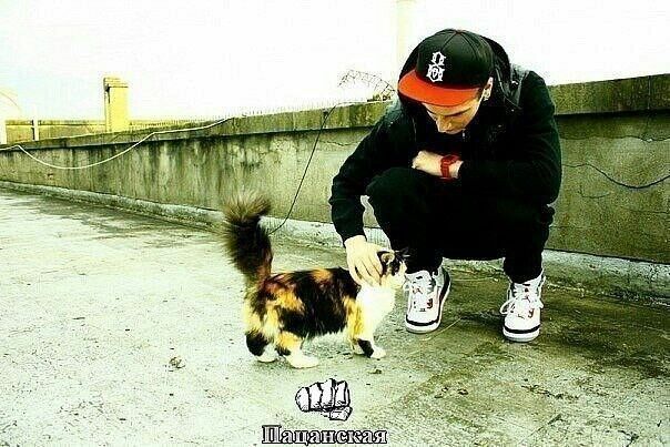  4533232  Mrjoker, 36 ,    