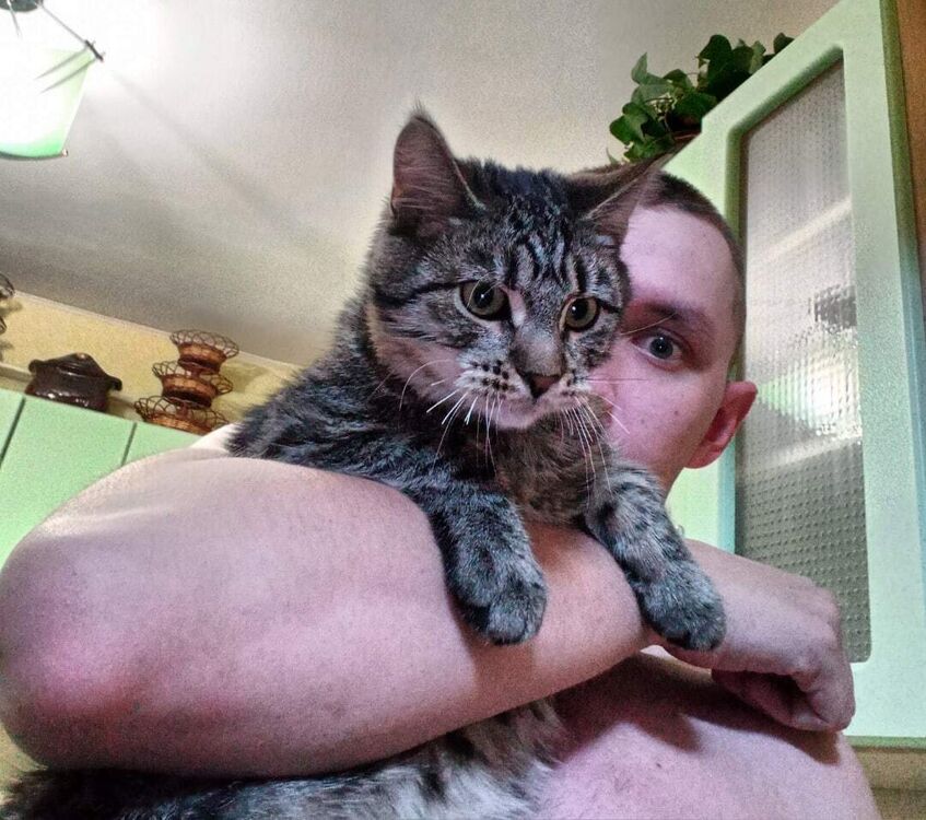 ���������� ���������, ���� ������� ������, 27 ���, ������������ ��� ������, ����� � ���������, c�������� ���������