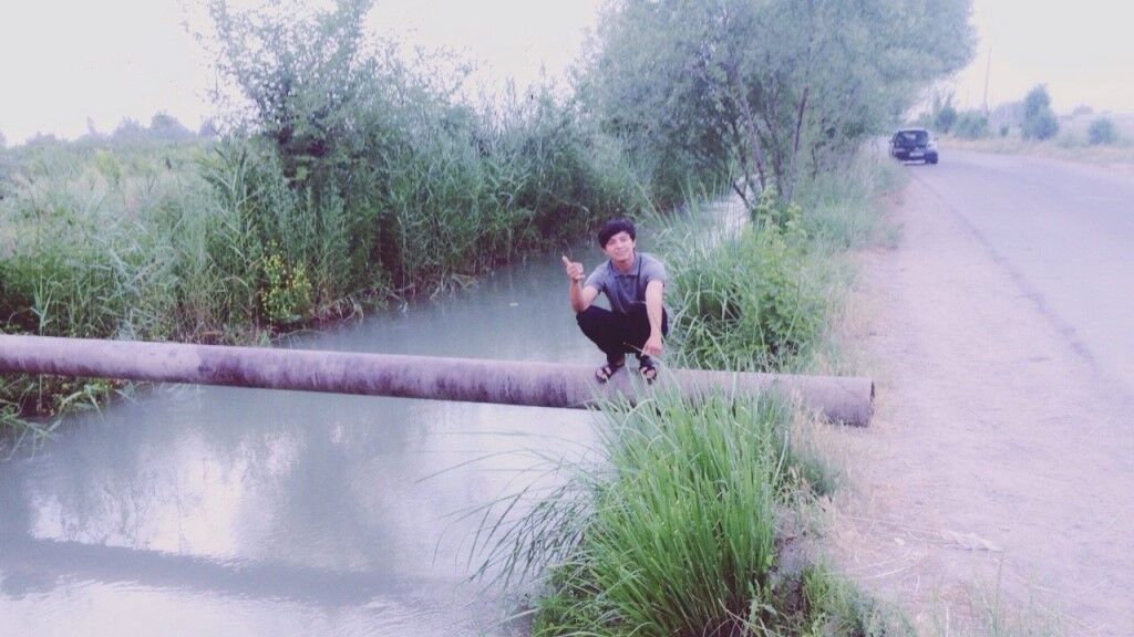  -,   , 29 ,     , c 