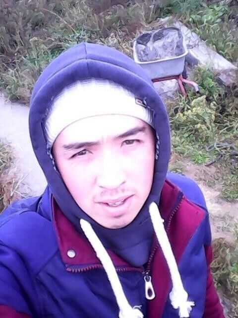  ,   SULTAN, 31 ,   ,   , c 