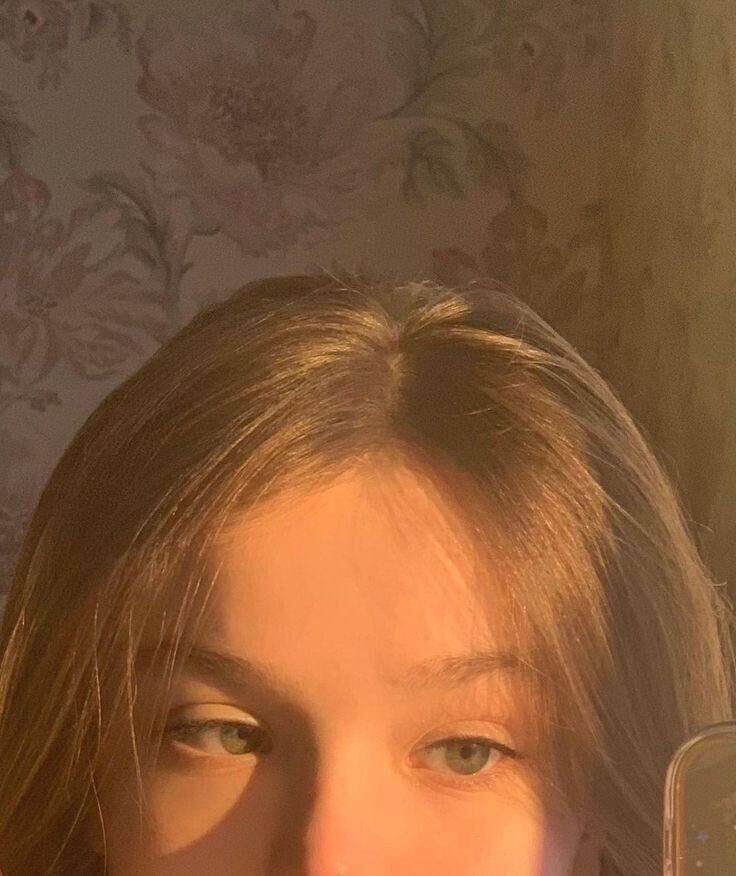  33078642  , 23 ,    