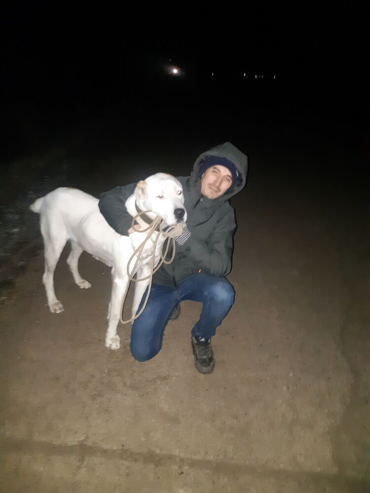 ���� 21842612 ������� �������, 38 ���, ���� ���������� � �����������