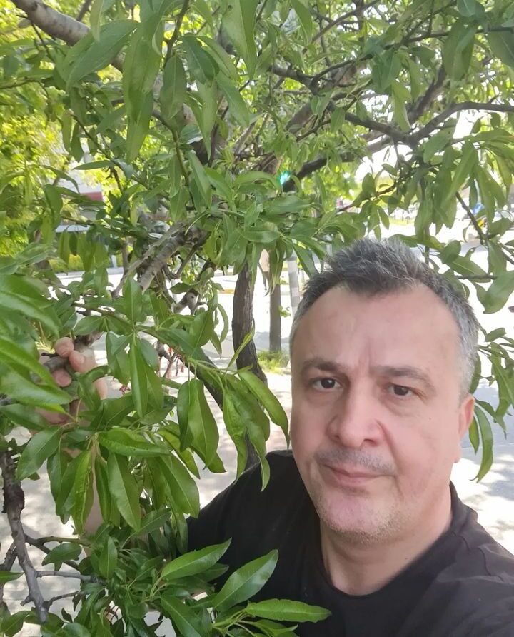 ���� 30837892 ������� Darius, 62 ����, ���� ���������� � ������