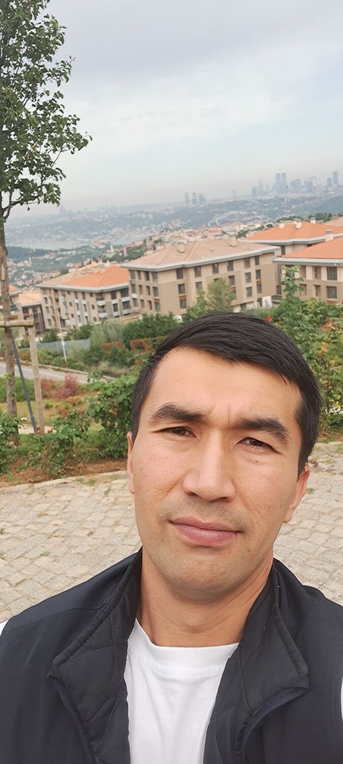  54175982  , 31 ,    -