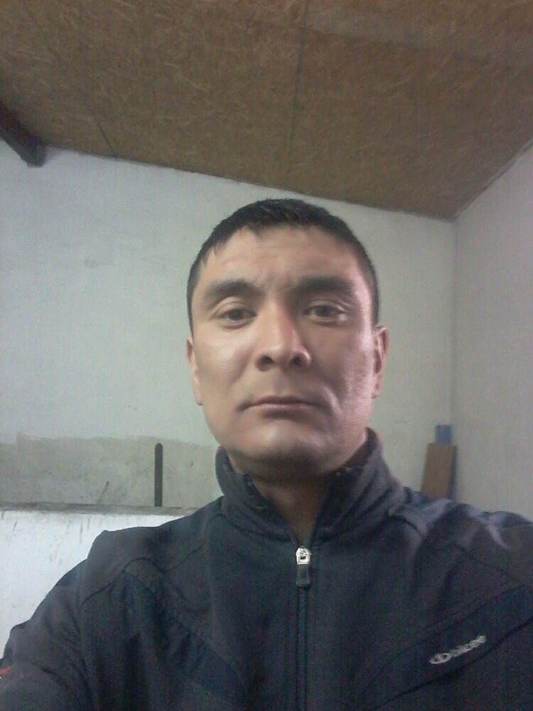  15033502  , 37 ,    
