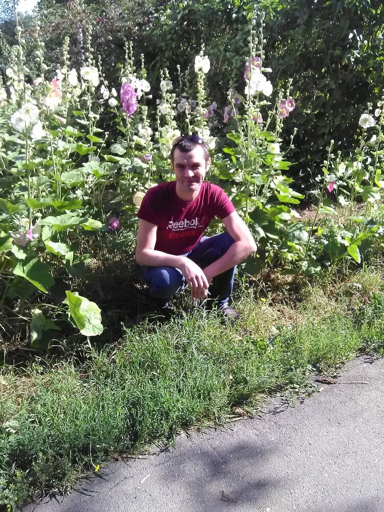 ���� 16656612 ������� ������, 42 ����, ���� ���������� � ������