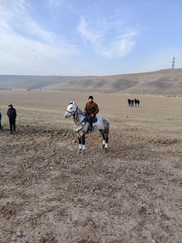 ���������� ������-����, ���� ����� ���, 23 ����, ������������ ��� ������, ����� � ���������