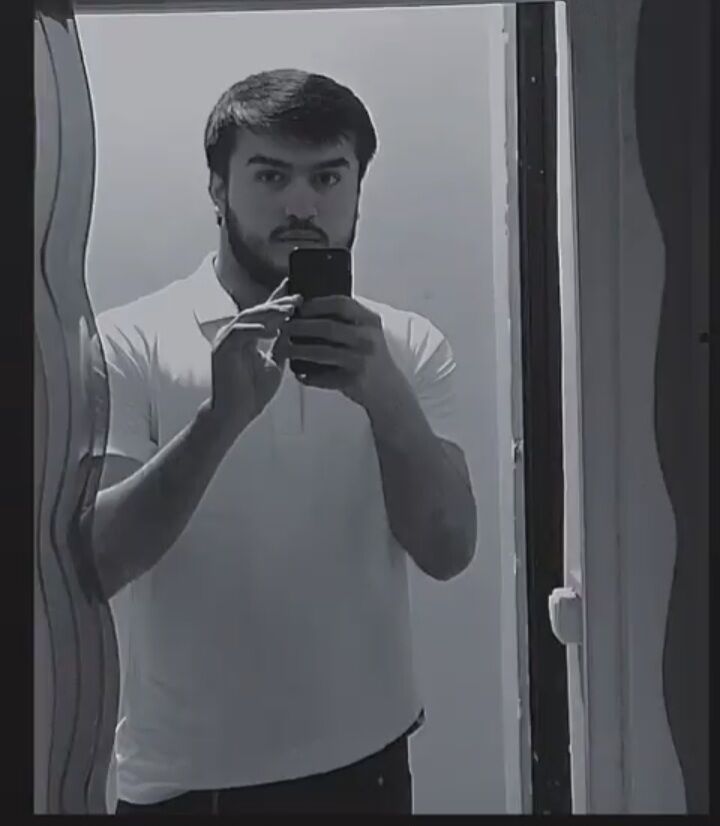  51286832  , 24 ,    