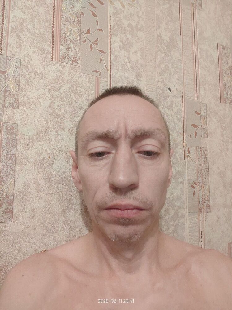  49603802  , 43 ,    