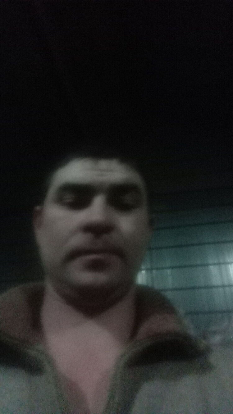  40954292  , 33 ,    