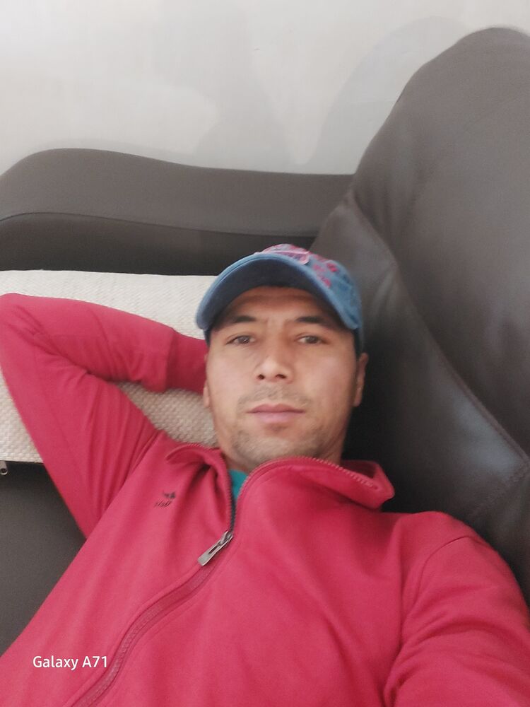 34023372  , 38 ,    