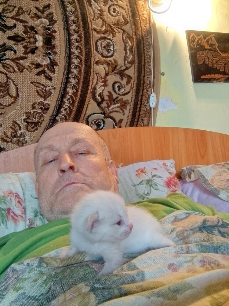  42680352  Ajeksei, 67 ,    