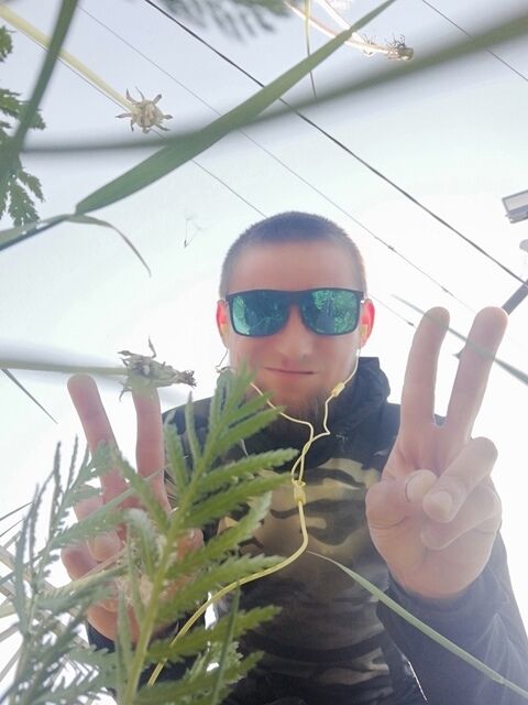 ���� 45291872 ������� ������, 33 ����, ���� ���������� � ������ ���������