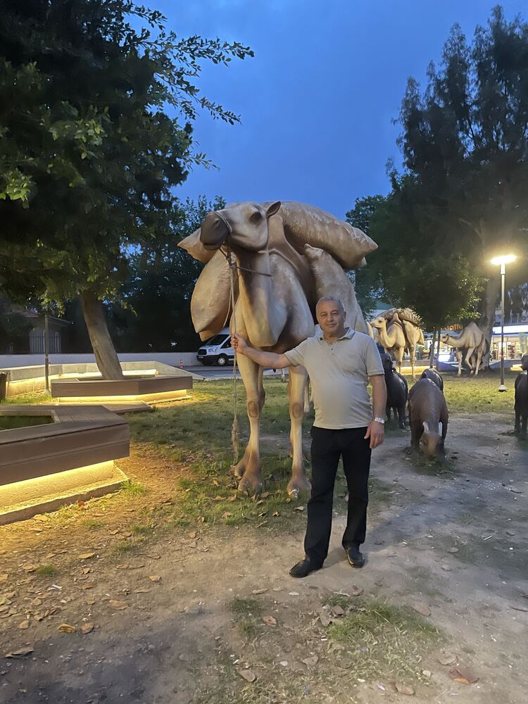 ���� 55002742 ������� Sadiq, 66 ���, ���� ���������� � �����������