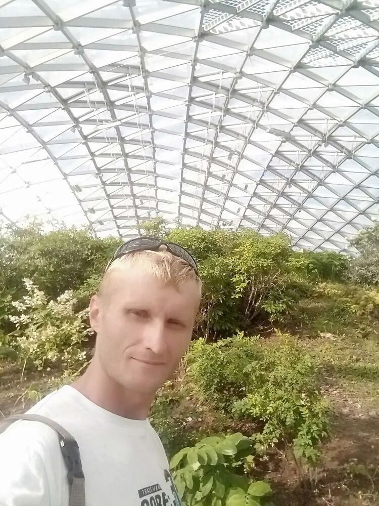 ���� 41108732 ������� �����, 42 ����, ���� ���������� � ������