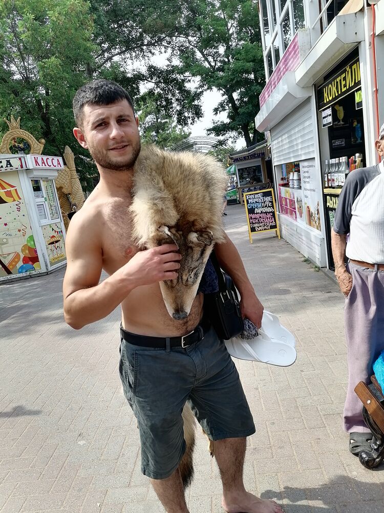 ���������� �����-���������, ���� ������� Karo, 31 ���, ������������ ��� ������, ����� � ���������, c�������� ���������