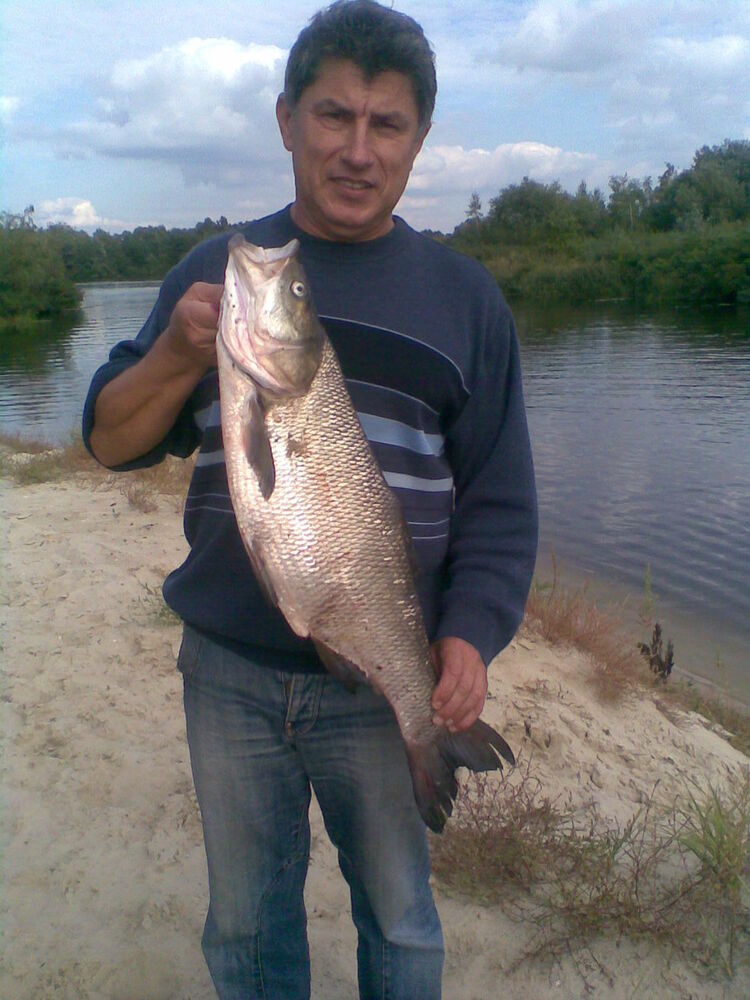  ,   , 61 ,   