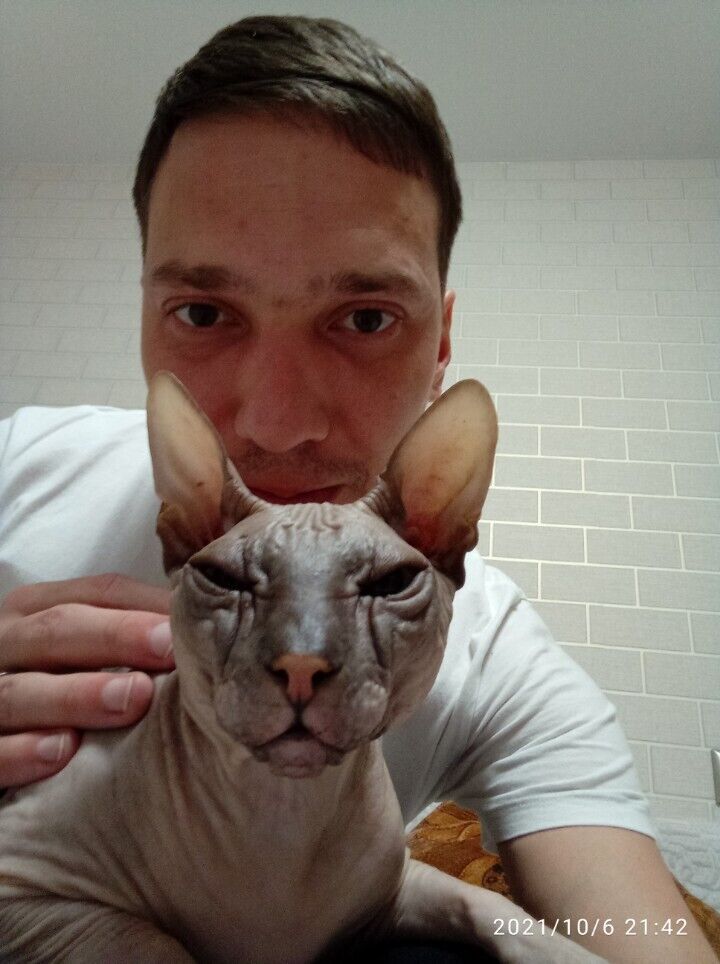 ���� 27847232 ������� �������, 35 ���, ���� ���������� � ������������